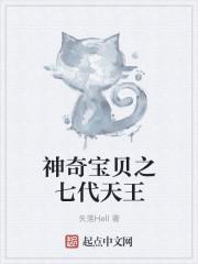 神奇宝贝各地区四天王和冠军