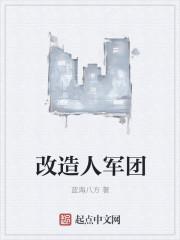 改造人009结局