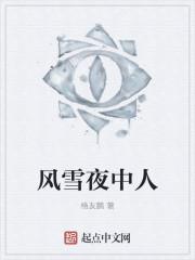 风雪夜归人的含义是什么