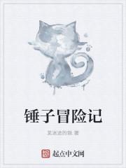 锤子是什么游戏