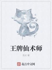 王者征途仙术师攻略