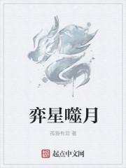 弈星 攻略