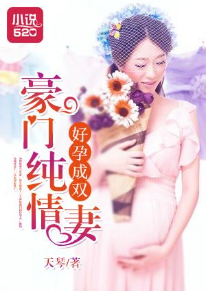 好孕成双包子2