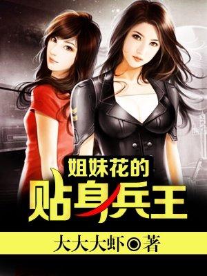 姐妹花的贴身兵王txt