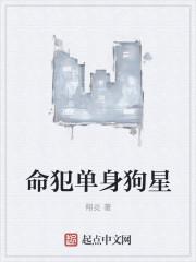 单身狗好不好