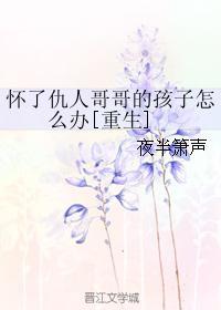 怀了仇人哥哥的孩子怎么办[重生