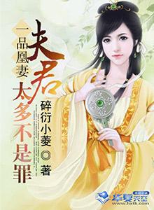 一品夫君三流妻