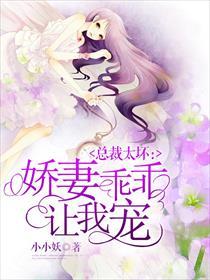 总裁宠妻别太坏