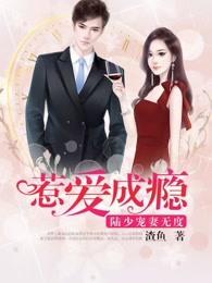 惹爱成瘾陆少宠妻无度在线阅读