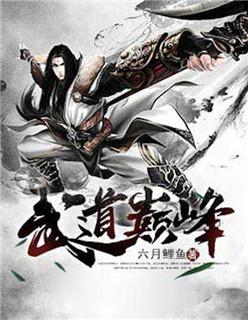 武道巅峰是什么境界