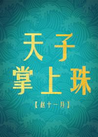 天子掌中宝全文免费阅读