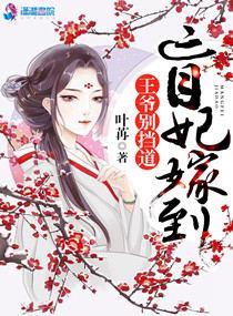 盲妃的