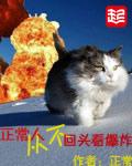 不回头看爆炸gif