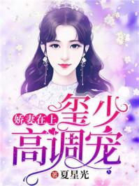 娇妻在上西少高调宠