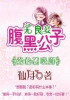 绝色召唤师腹黑公子无良妾