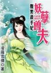 腹黑杀手妃妖孽兽夫免费阅读全文