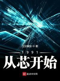 1991从芯开始 123读