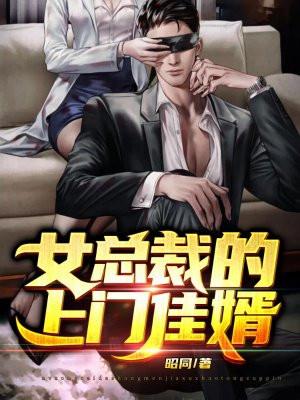女总裁的上门女婿免费阅