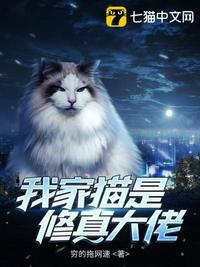 我家猫都是大佬