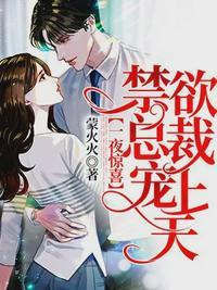 总裁你老婆又跑了