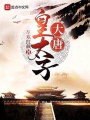 大唐皇太子李承华