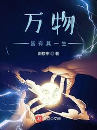 我能看到万物属性