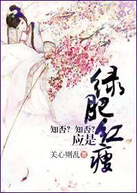 知否知否未删减txt