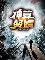 神算熬婿