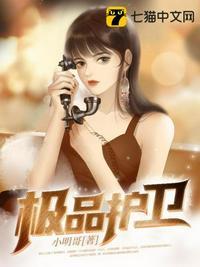 极品护卫全文阅读