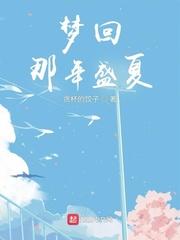 梦回那年盛夏无防盗无错版