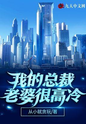 我的总裁老婆都市