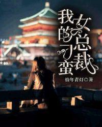 我的刁蛮女总裁后续