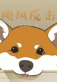飓风什么
