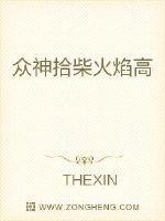 诸神定式 THEXIN