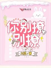 你别撩别撩免费阅读