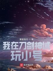 我在刀剑神域玩小号 繁星隐月