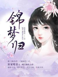 锦梦归来免费阅读