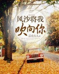风沙将我吹向你讲什么