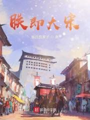 朕即大宋免费