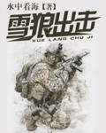 雪狼出击TXT钟表