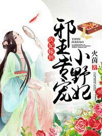 邪王专宠小野妃免费阅读