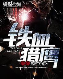 铁血战鹰队全集