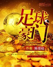 足球豪门队长想退役全文阅读