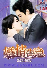 婚情告急全文免费