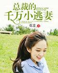 大总裁小逃妻免费阅读