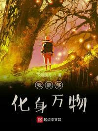 我能够化身万物无防盗