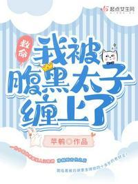 腹黑太子追妻忙
