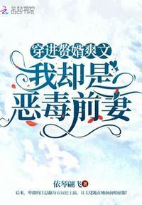 穿成赘婿前妻