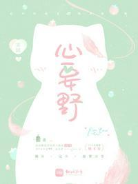 心要野舞蹈