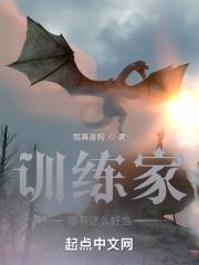 想当训练家